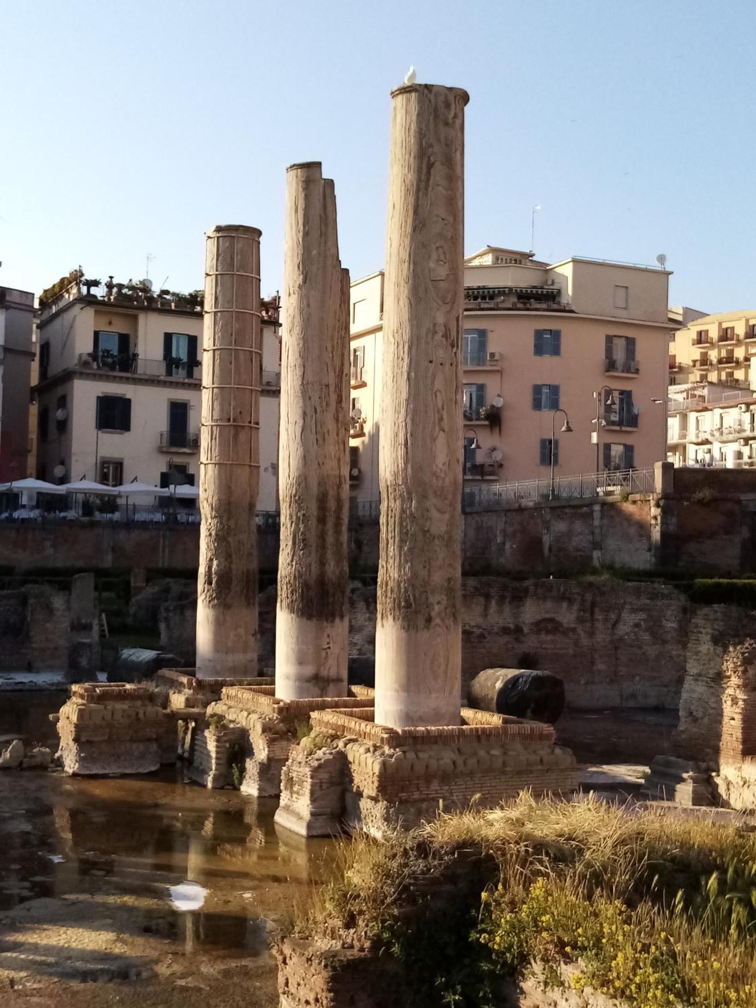 Il Nido Della Quaglia Bed & Breakfast Pozzuoli Dış mekan fotoğraf